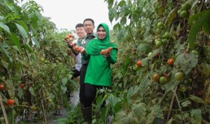 186c85fa-9415-490b-847f-031f8a59a7f8