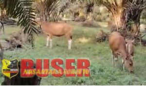 WhatsApp Image 2024-06-21 at 14.25.02