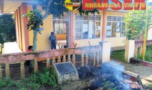 WhatsApp Image 2024-06-28 at 17.05.16