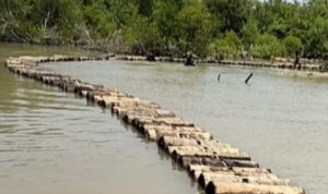 WhatsApp Image 2024-07-03 at 17.51.47