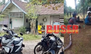 WhatsApp Image 2024-07-20 at 12.50.13