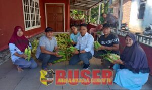 WhatsApp Image 2024-08-11 at 09.00.28