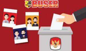 WhatsApp Image 2024-08-11 at 09.46.53