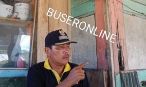 WhatsApp Image 2024-10-30 at 17.32.43