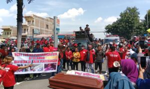 WhatsApp Image 2024-10-30 at 18.25.35