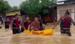 IMG-20241129-WA0019(1)