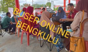 WhatsApp Image 2024-12-01 at 16.39.29