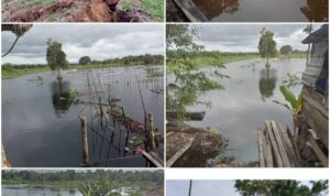 WhatsApp Image 2024-12-15 at 08.53.02