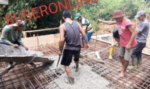 WhatsApp Image 2024-12-17 at 21.26.28