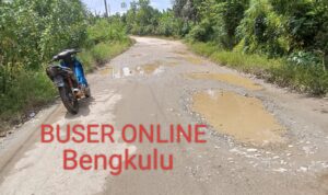 WhatsApp Image 2025-01-20 at 13.44.25