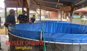 WhatsApp Image 2025-01-26 at 19.54.08 (1)