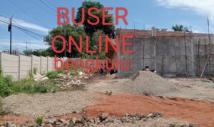 WhatsApp Image 2025-02-15 at 10.57.37