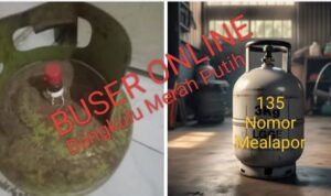 WhatsApp Image 2025-02-27 at 21.57.45