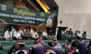 WhatsApp Image 2025-05-24 at 20.04.55