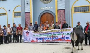 WhatsApp Image 2025-06-09 at 15.44.01