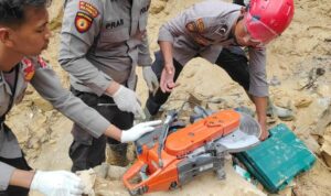 IMG-20251209-WA0151(1)