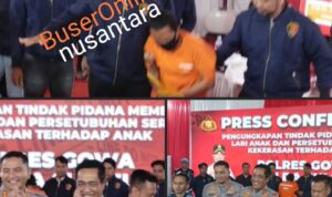 WhatsApp Image 2025-12-09 at 20.26.51