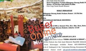 WhatsApp Image 2025-12-10 at 22.23.56