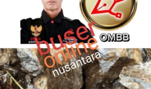 WhatsApp Image 2025-12-12 at 18.55.20