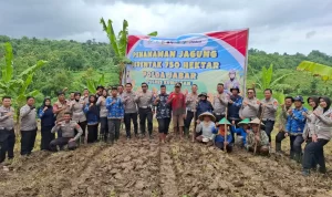 IMG-20260130-WA0009-1